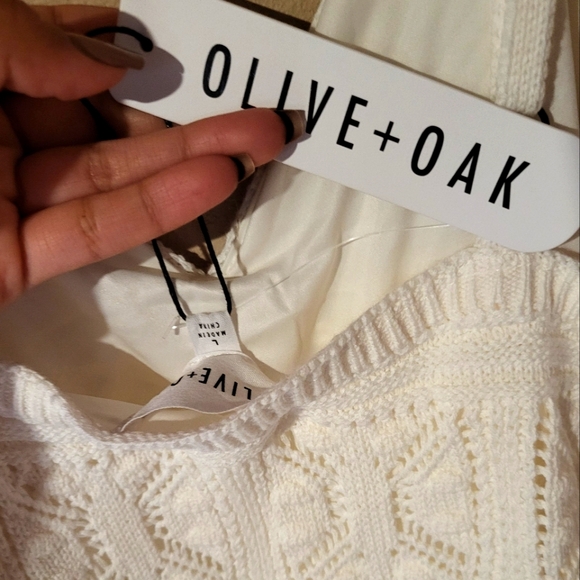 Olive and Oak Crochet Dress - Picture 3 of 3